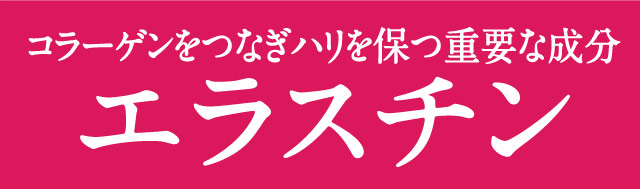 コラーゲンをつなぎハリを保つ重要な成分エラスチン